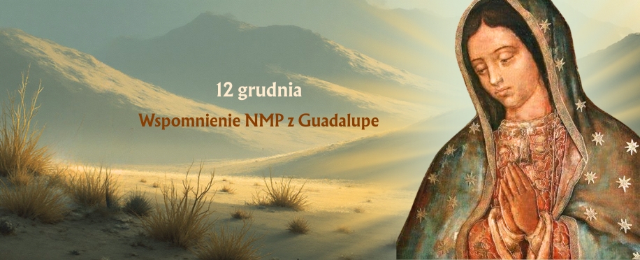 Kopia – BANER (916 x 372 px)(5)