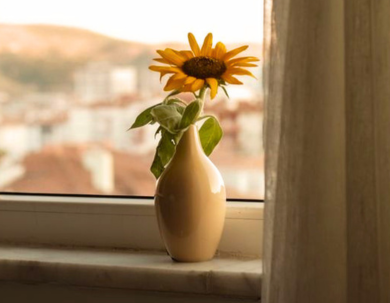 INSPIRACJE