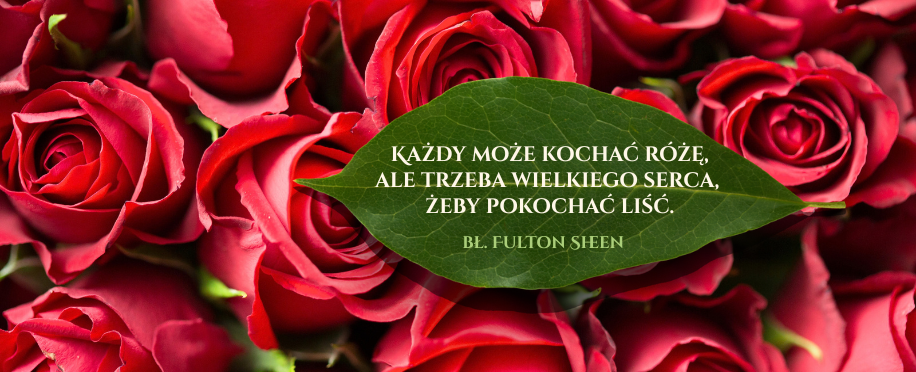 BANER (916 x 372 px) I-XII 2026(2)